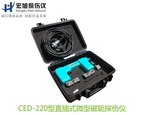 CED220型直插式微型磁轭磁粉探伤仪